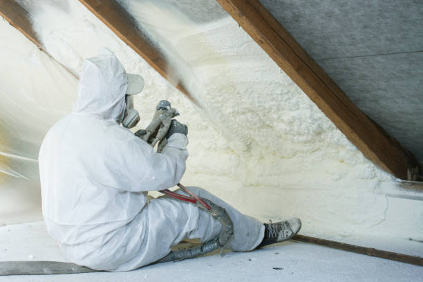 Best Basement Insulation  in Tchula, MS